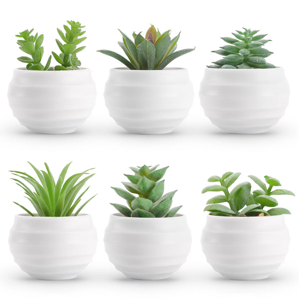 Miracliy Set of 6 Succulents Plants Artificial in Pots Small Fake Plants for Bedroom Aesthetic Living Room Office Shelf Bathroom Decor
