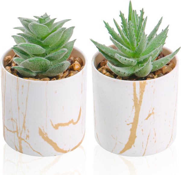 Miracliy Set of 2 Succulents Plants Artificial Mini Fake Succulents Plants for Home Office Desk Accessories for Women